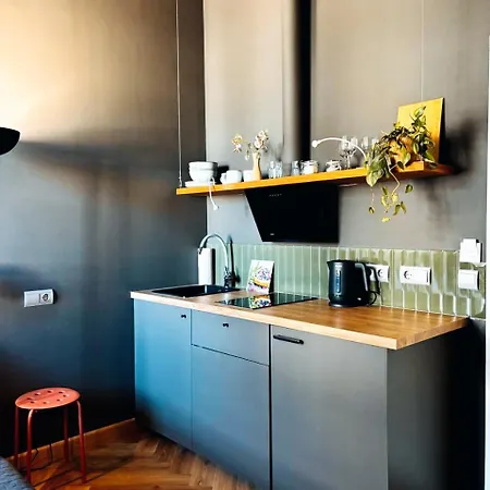 Loft Centrum Lok 4 * Varsó